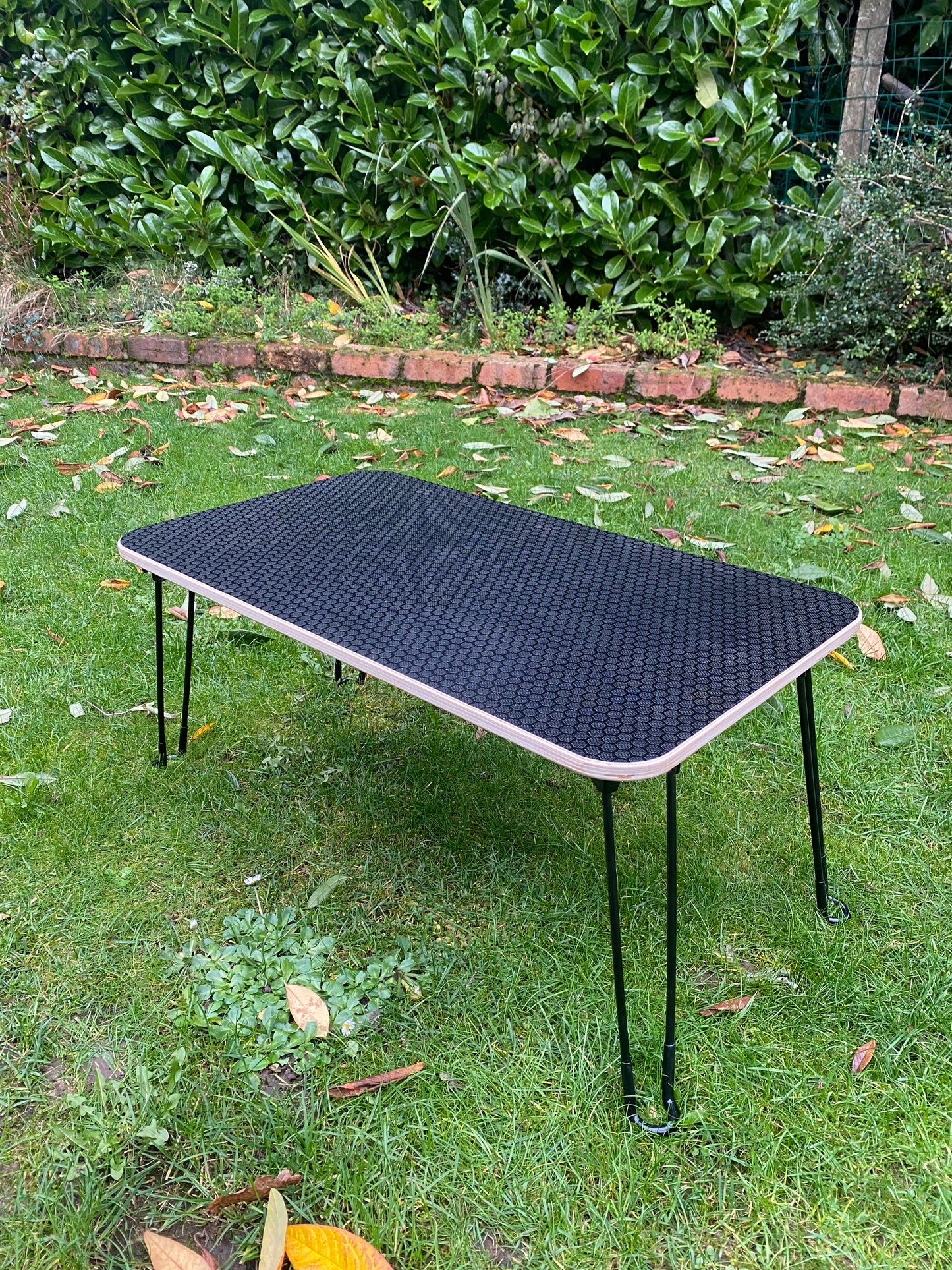 Folding Table