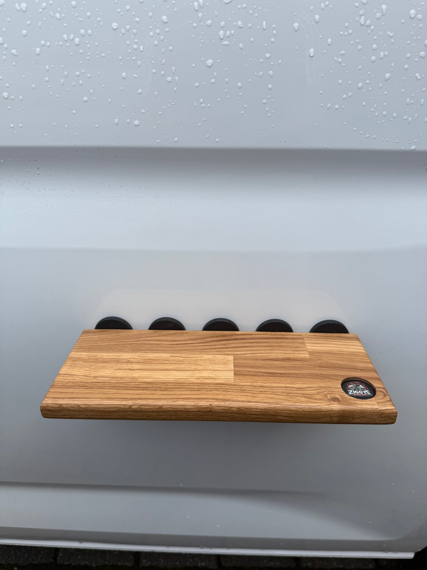 Magnetic Shelf