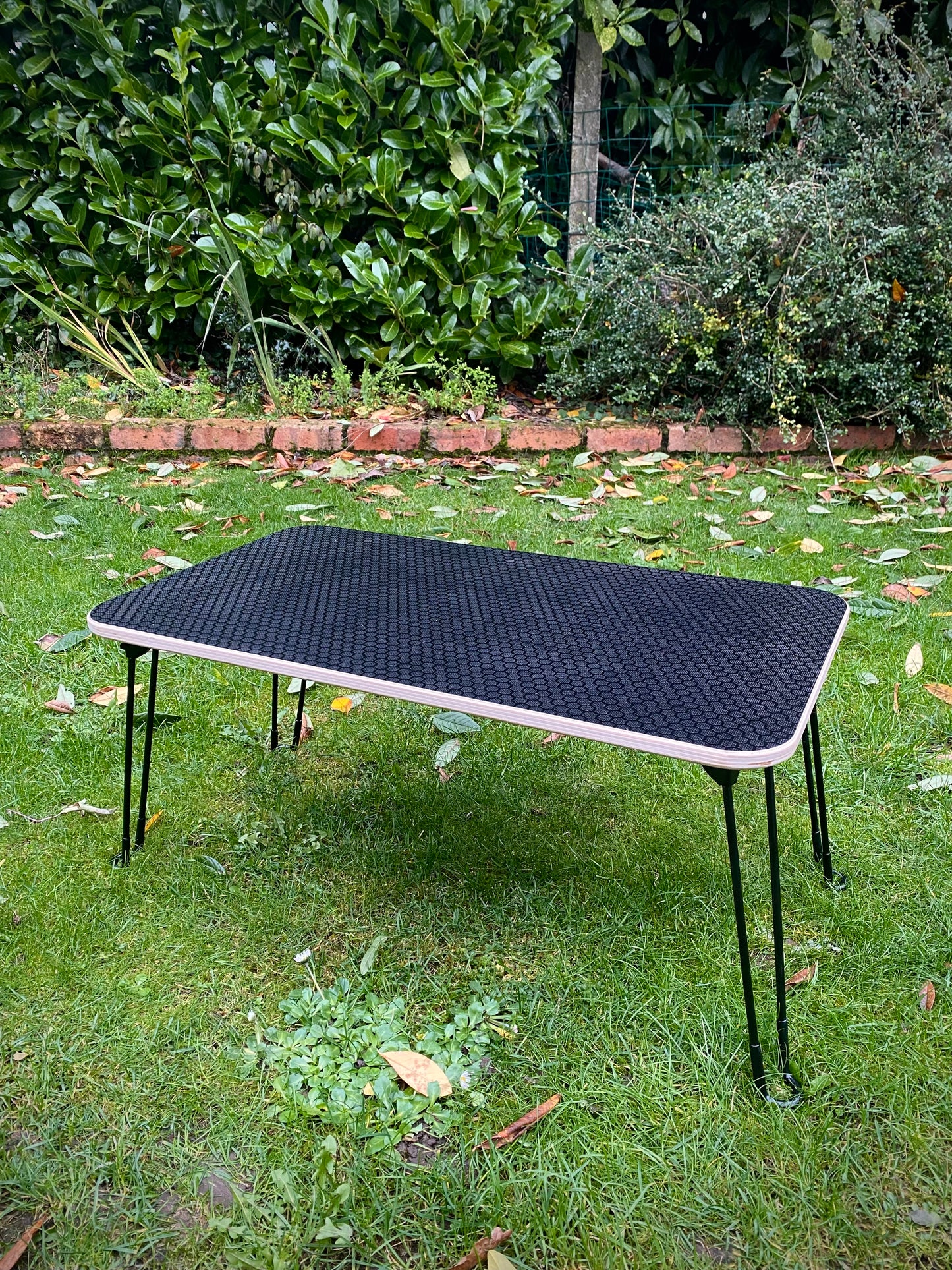 Folding Table