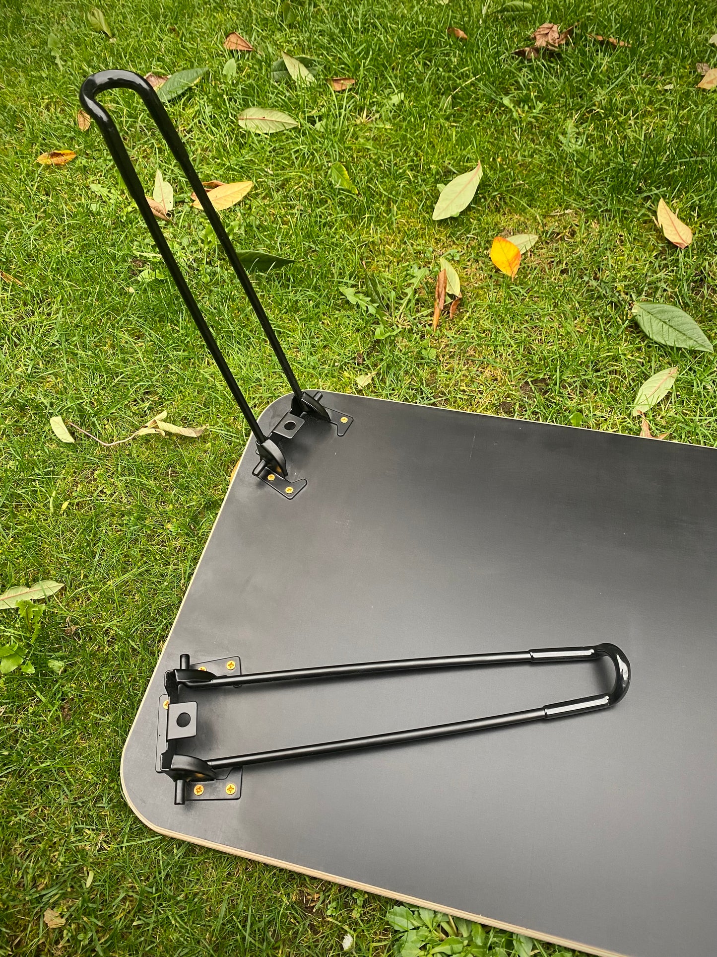 Folding Table