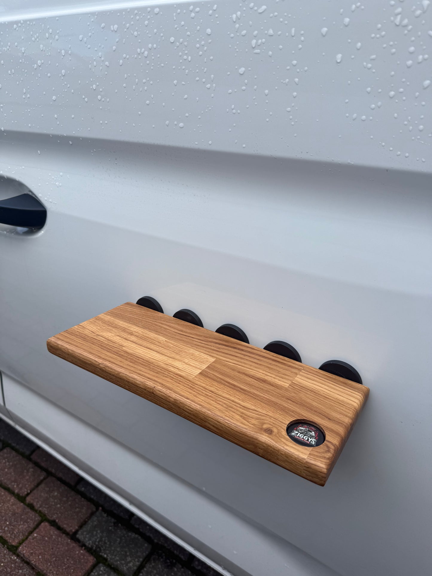 Magnetic Shelf