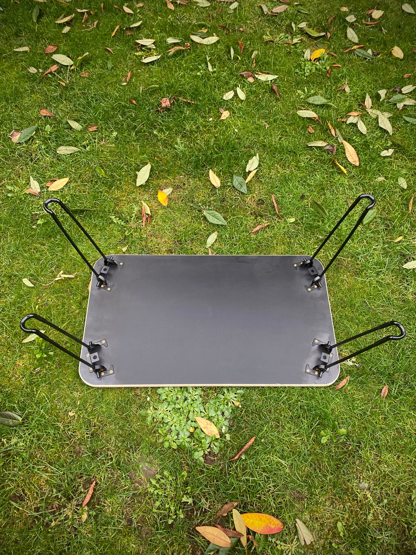 Folding Table