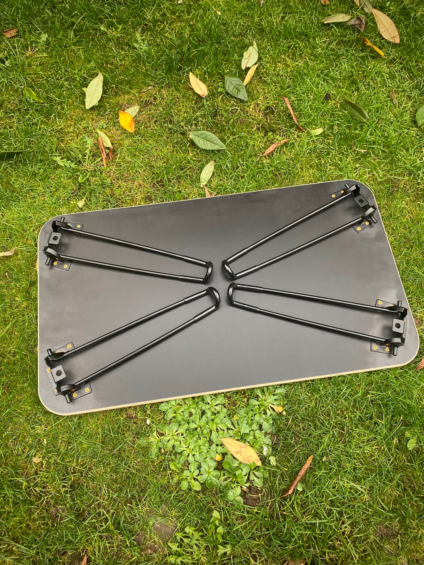 Folding Table